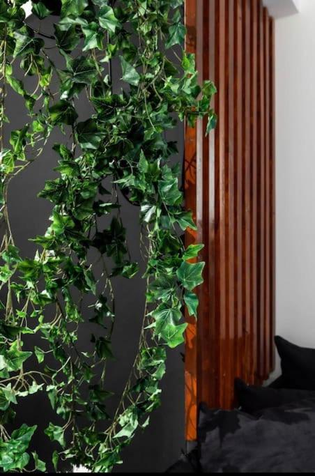 Novel Acropolis Apartment Αθήνα Εξωτερικό φωτογραφία