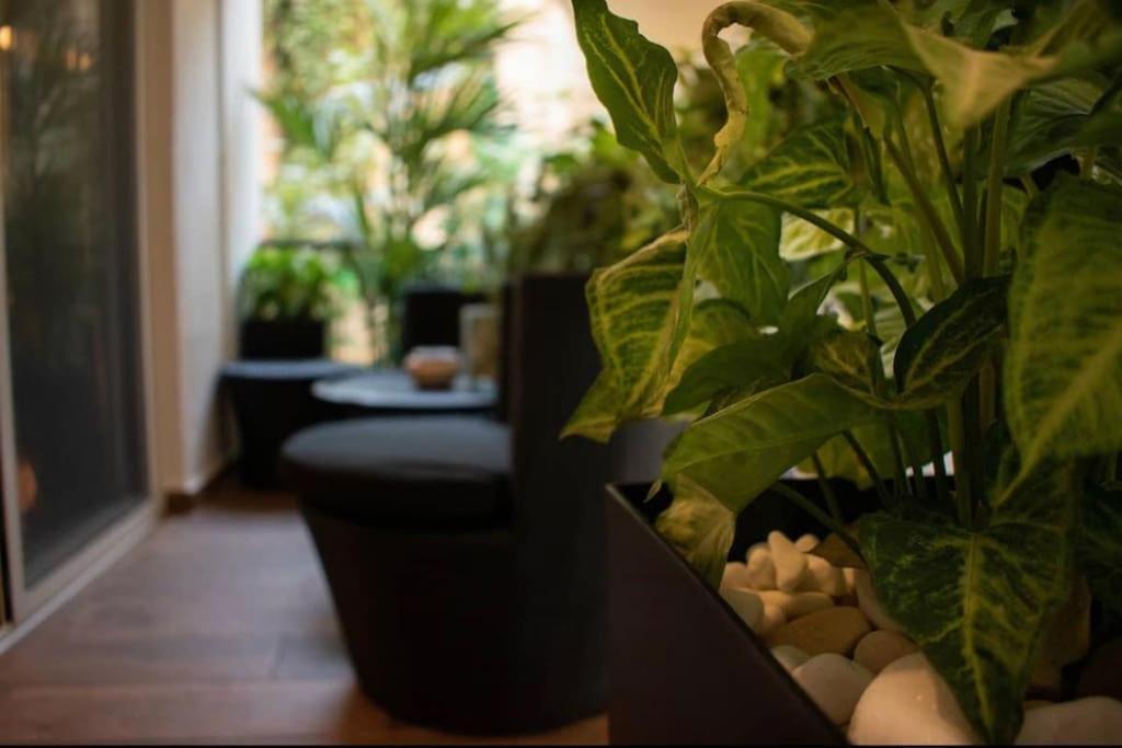 Novel Acropolis Apartment Αθήνα Εξωτερικό φωτογραφία